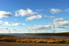 Whitelee Wind Farm