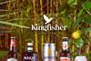 Kingfisher drinks