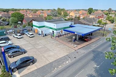 hawkswoodcopy_900584