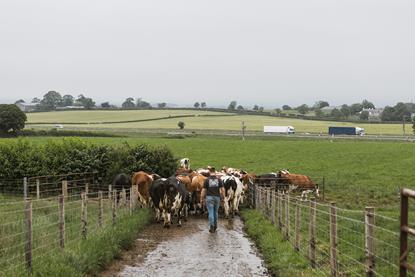 Westmorland Farmshop supplier Low Moor Farm