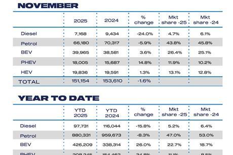 Nov Fuel 2025 and YTD cars