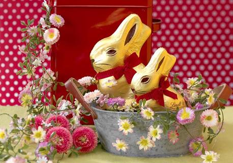 365279_lindt1_813740_384058