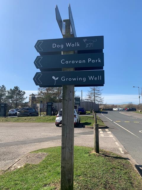 Dog walk