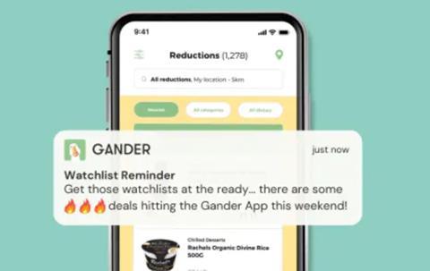 Gander app2